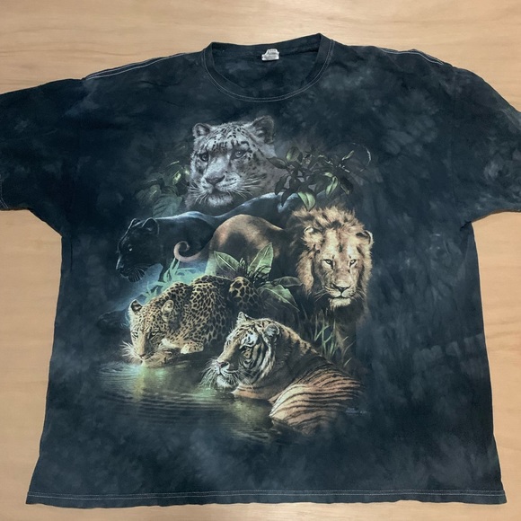 12 month raglan shirt